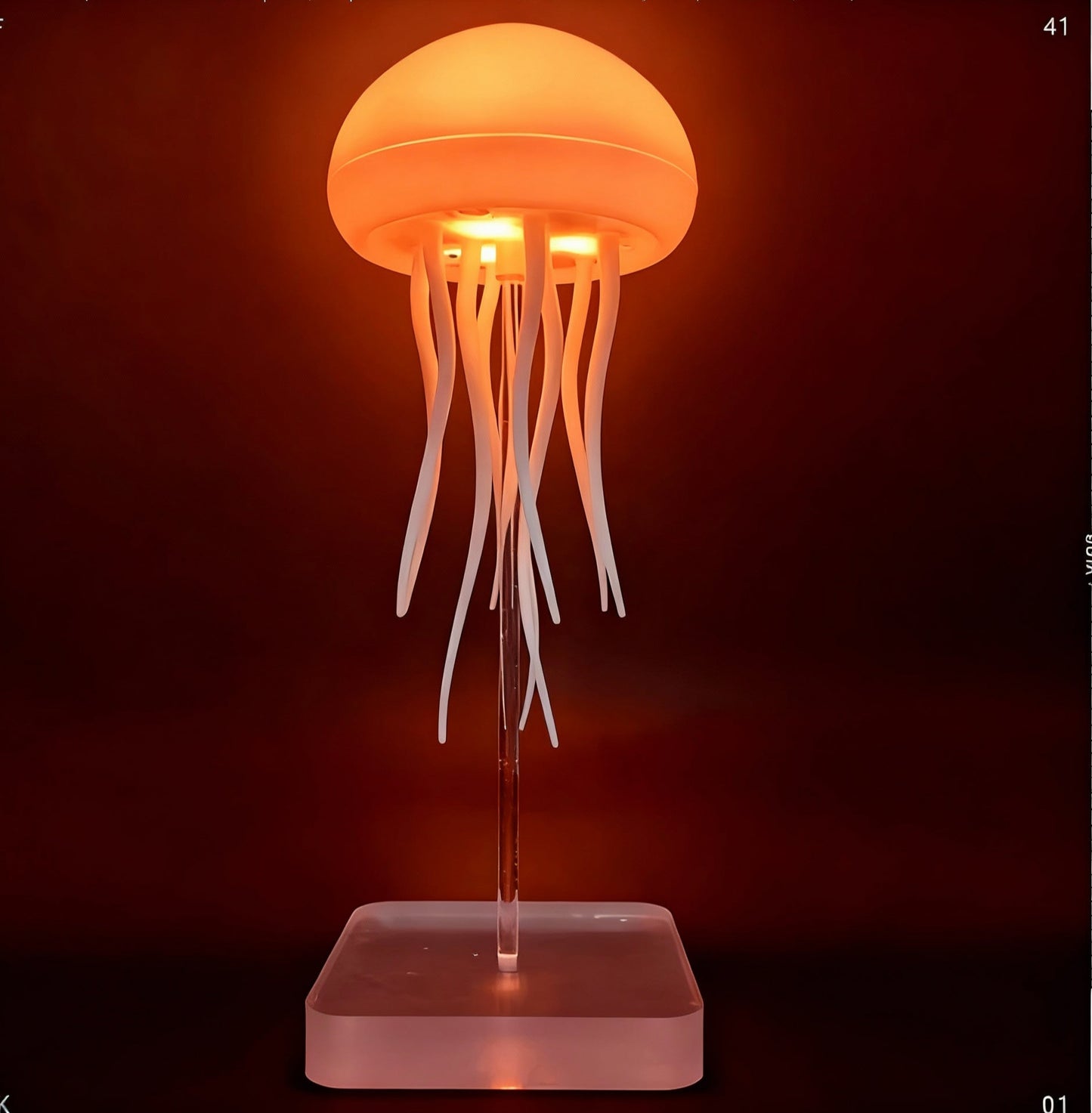 JELLYFISH LAMP
